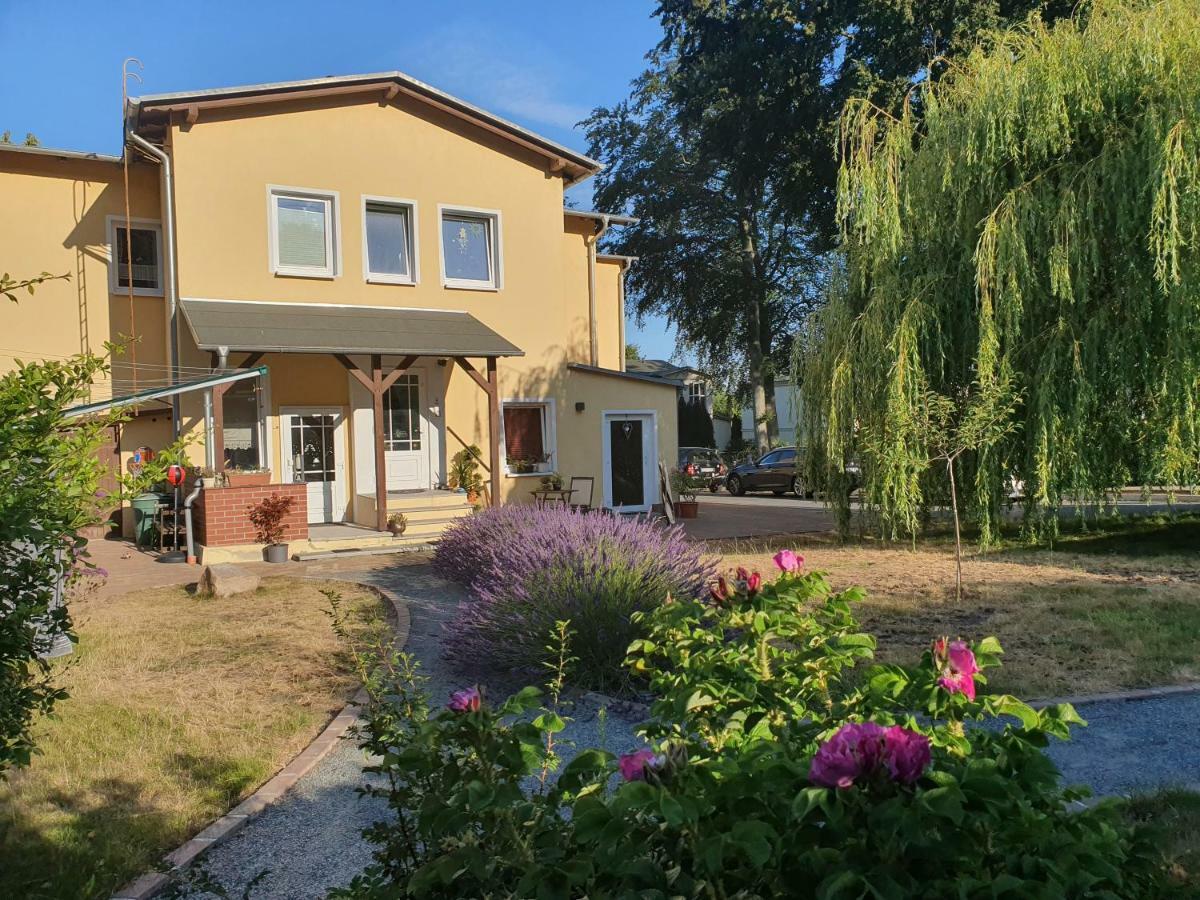 Ferienwohnung Ole Zinnowitz Eksteriør billede