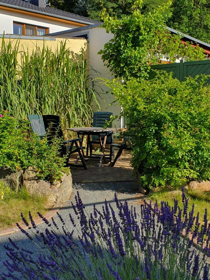 Ferienwohnung Ole Zinnowitz Eksteriør billede